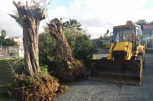 &Delta;&Epsilon;&Nu;&Tau;&Rho;&Omicron;&Phi;&Upsilon;&Tau;&Epsilon;&Upsilon;&Sigma;&Epsilon;&Iota;&Sigma;